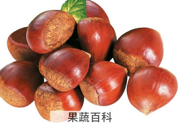 果蔬百科板栗的功效与吃法