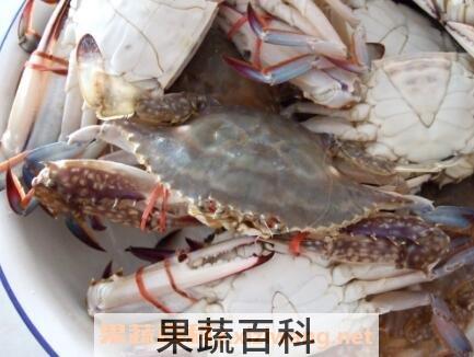 海蟹蒸多久能熟 蒸海蟹方法教程