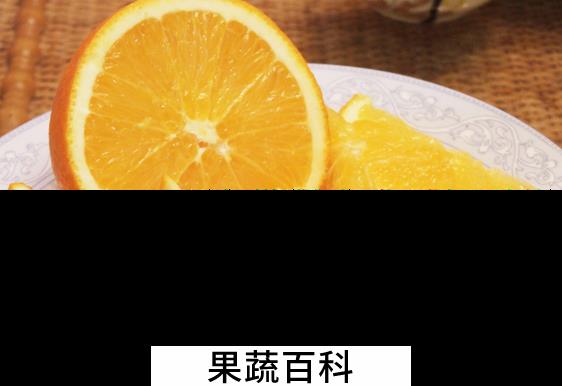果蔬百科橙子的食疗功效与吃法