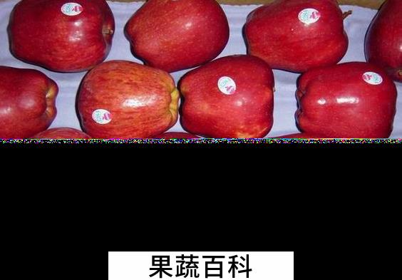 果蔬百科蛇果怎么吃好
