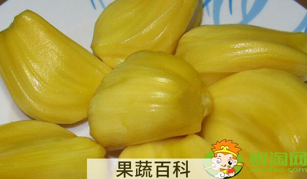菠萝蜜的功效是温性的吗，菠萝蜜一次可以吃几颗