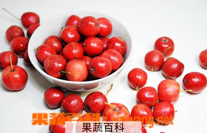 果蔬百科山楂的功效与作用及食用方法