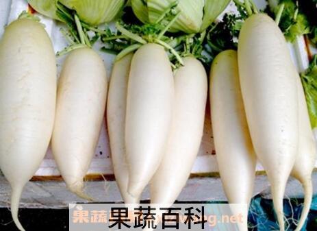 吃白萝卜的营养价值及禁忌
