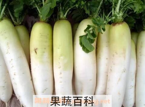 吃白萝卜的营养价值及禁忌