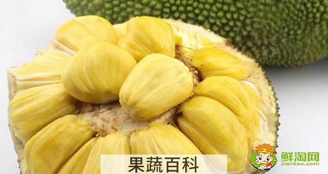 菠萝蜜怎么吃，菠萝蜜不能和什么一起吃