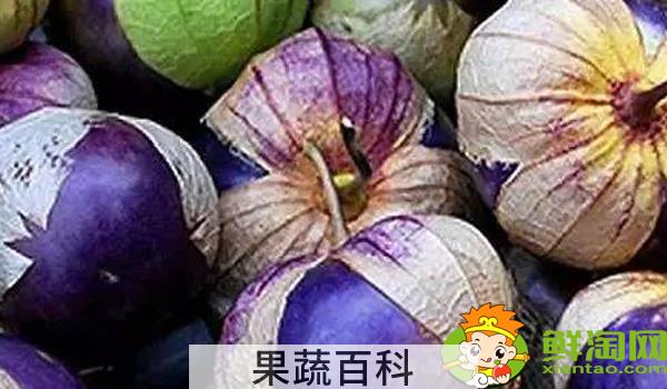 姑娘果一年结几次果，姑娘果从开花到结果多久成熟