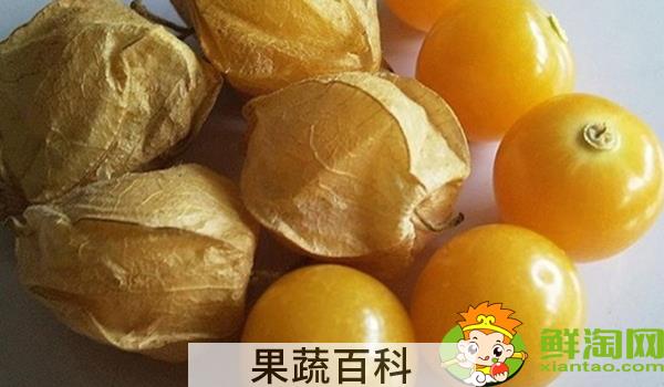 姑娘果一年结几次果，姑娘果从开花到结果多久成熟