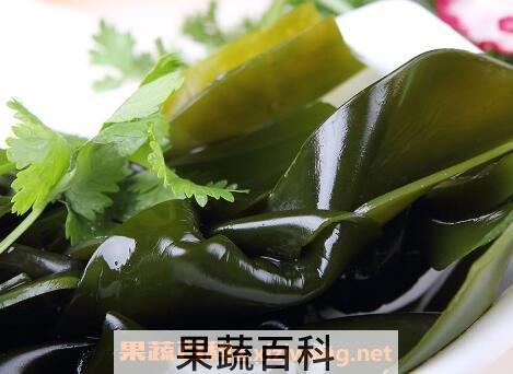 海带和海菜有什么区别