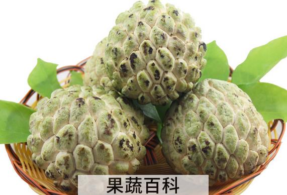 果蔬百科番荔枝的功效与作用