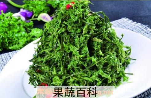 云龙菜的功效与作用