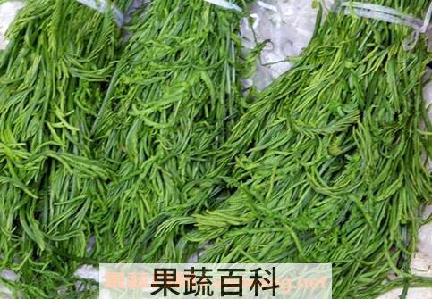 云龙菜的功效与作用
