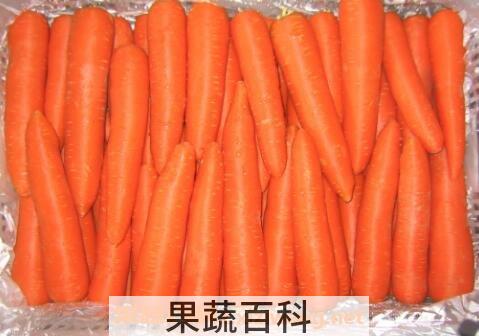 白萝卜和胡萝卜能一起吃吗