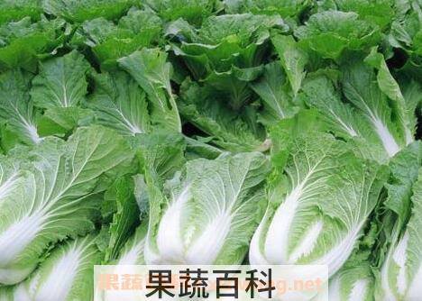 白菜的营养价值有哪些