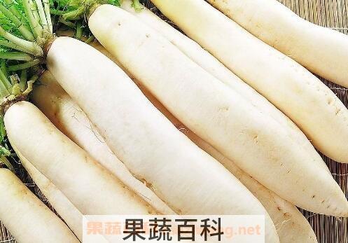 孕妇能吃白萝卜吗