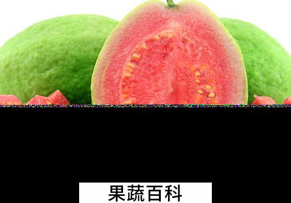 果蔬百科芭乐的常见吃法