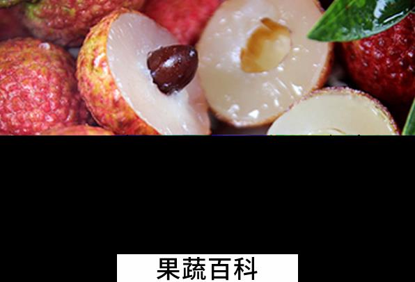 果蔬百科荔枝核能吃吗