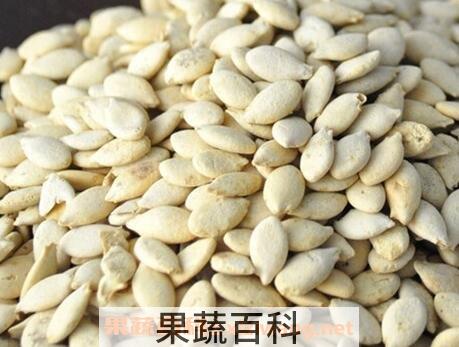冬瓜子的功效与作用及食用方法