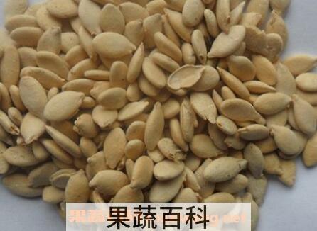 冬瓜子的功效与作用及食用方法
