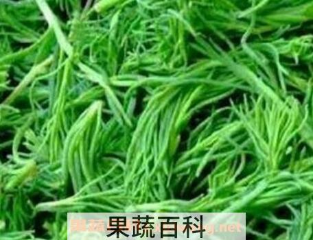 皇席菜的功效与作用