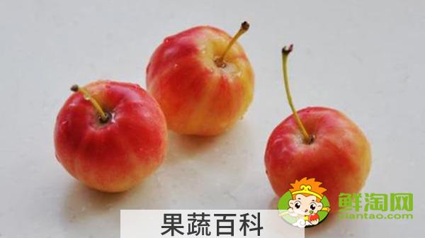 海棠果没熟青果怎样吃，沙果哪个地方的好吃