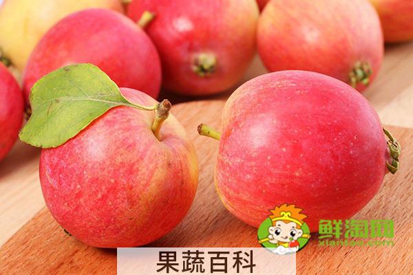 海棠果没熟青果怎样吃，沙果哪个地方的好吃