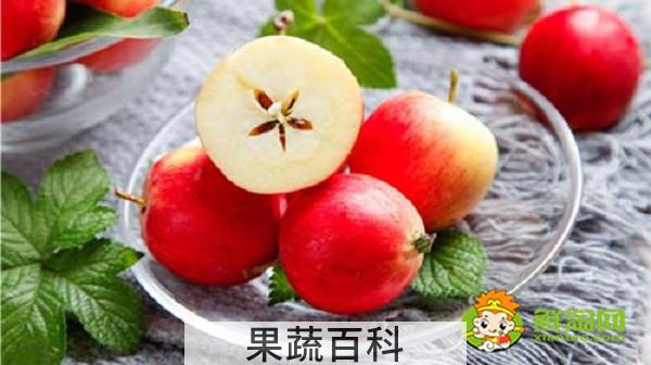 北方的沙果什么时候成熟，东北的沙果长什么样