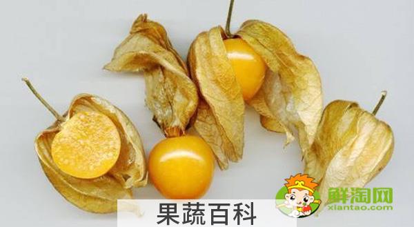 姑娘果学名叫什么，姑娘果有什么药用价值