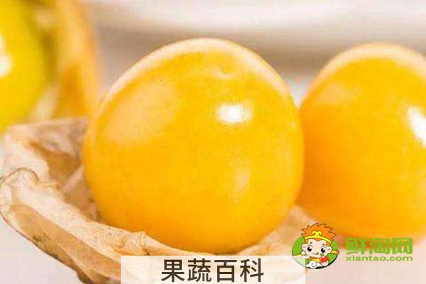 姑娘果学名叫什么，姑娘果有什么药用价值