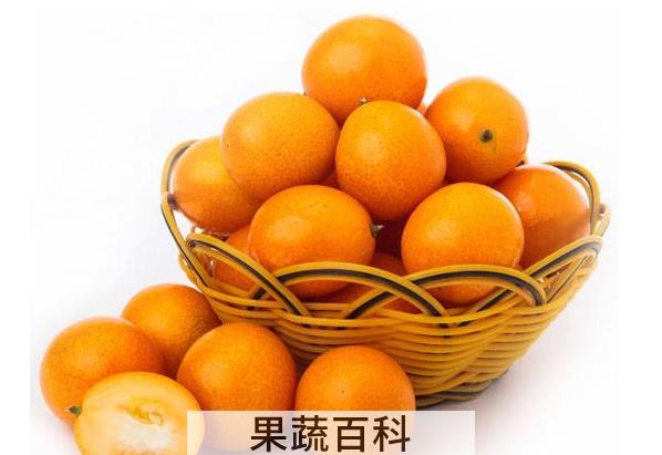 果蔬百科吃金桔要注意什么