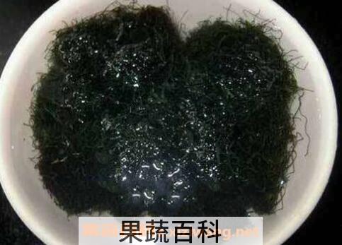 海发菜和发菜的区别