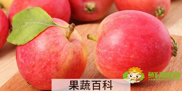 沙果怎么去核简单办法小窍门，沙果去核切片的工具