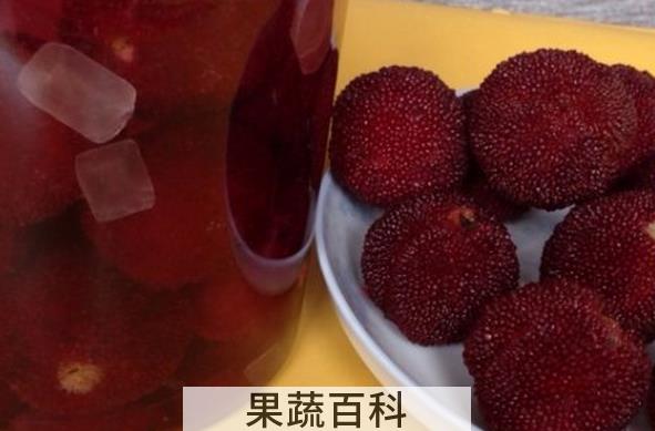 果蔬百科杨梅酒的做法