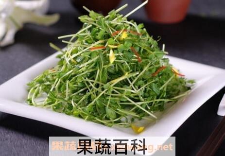 豌豆苗的营养价值与功效