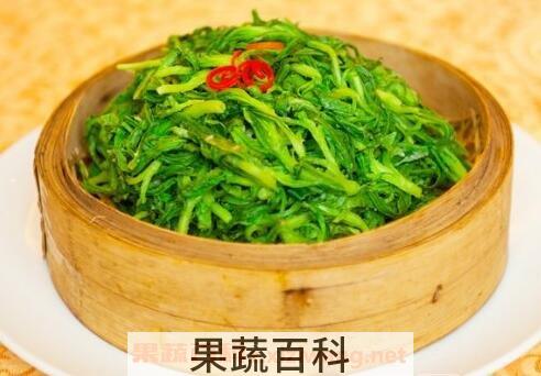 面条菜的食用方法和食用禁忌