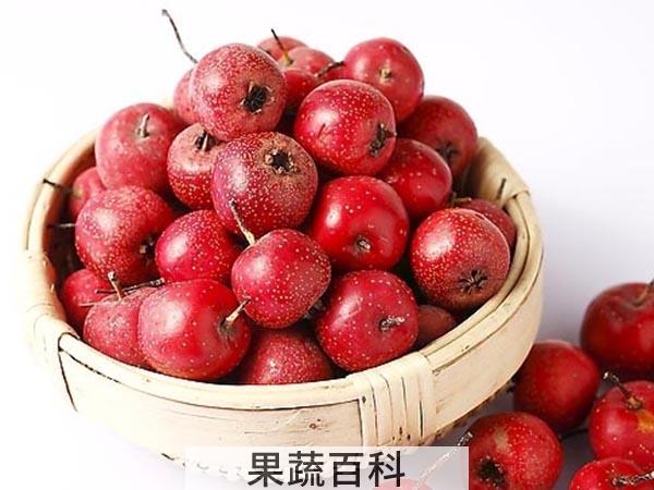 果蔬百科山楂籽的功效与作用