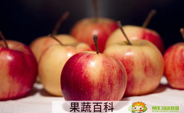 沙果用种子怎么种，沙果树叶黄是什么原因