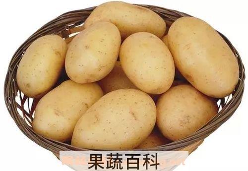土豆