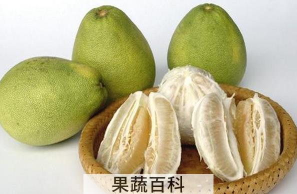 果蔬百科文旦的功效与作用