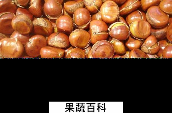 果蔬百科栗子怎么去皮好