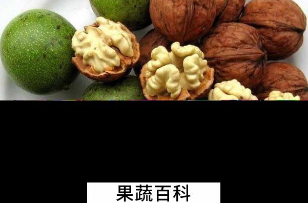 果蔬百科核桃的药用价值