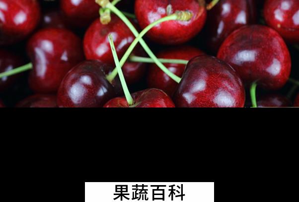 果蔬百科吃樱桃的好处与坏处