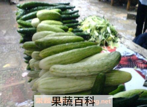 野黄瓜的吃法