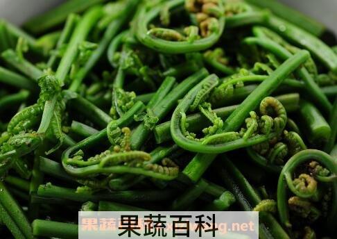 长寿菜有哪些 哪些菜常吃能长寿
