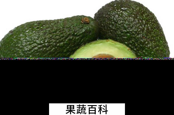 果蔬百科牛油果的营养价值与功效