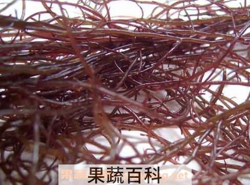 江蓠的功效与作用