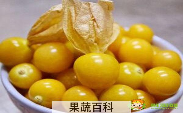 姑娘果是什么水果，姑娘果表皮有霉点能吃吗