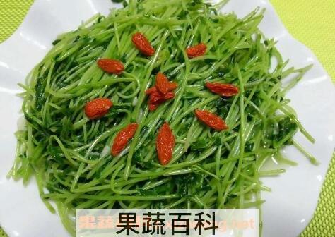 豌豆苗如何吃 豌豆苗的食用方法