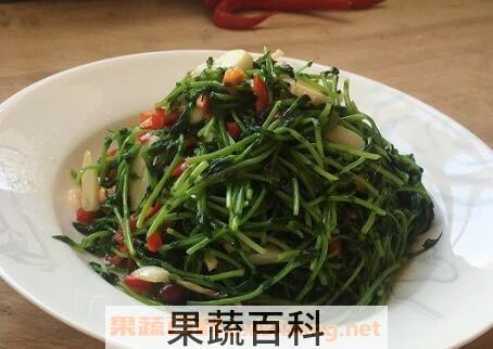 豌豆苗如何吃 豌豆苗的食用方法
