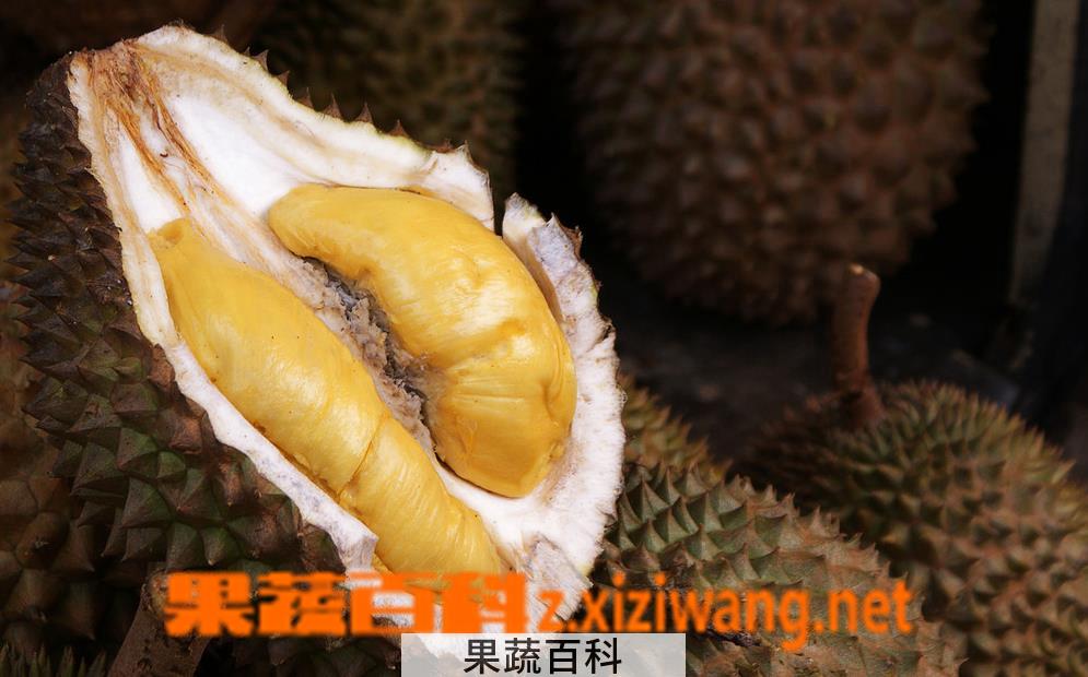 果蔬百科榴莲变质什么样