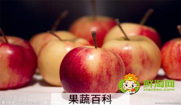 野沙果是什么果子，野沙果对身体有什么好处